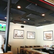 AS_EchoEliminaor_Ceiling_DirAttch_Tavern_Vertical3