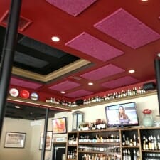 AS_EchoEliminator_Ceiling_DirAttch_Tavern_Vertical_good