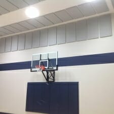 Echo_Eliminator_Gymnasium