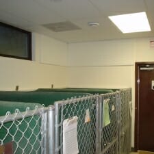 Kennel1.jpg