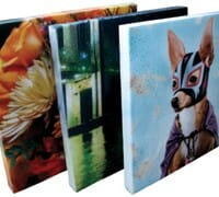 Decorative / High-end Products